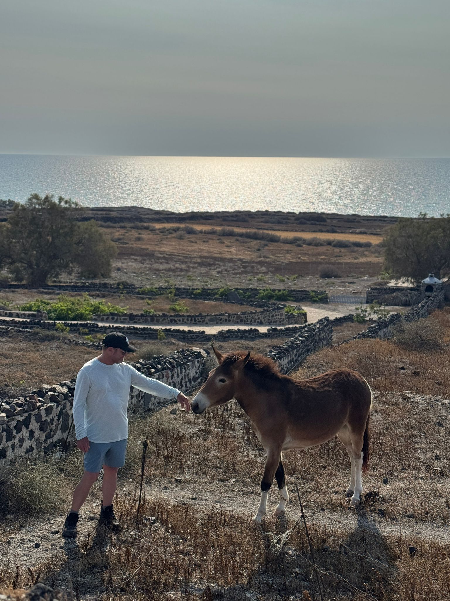 Art of Living Well Retreat